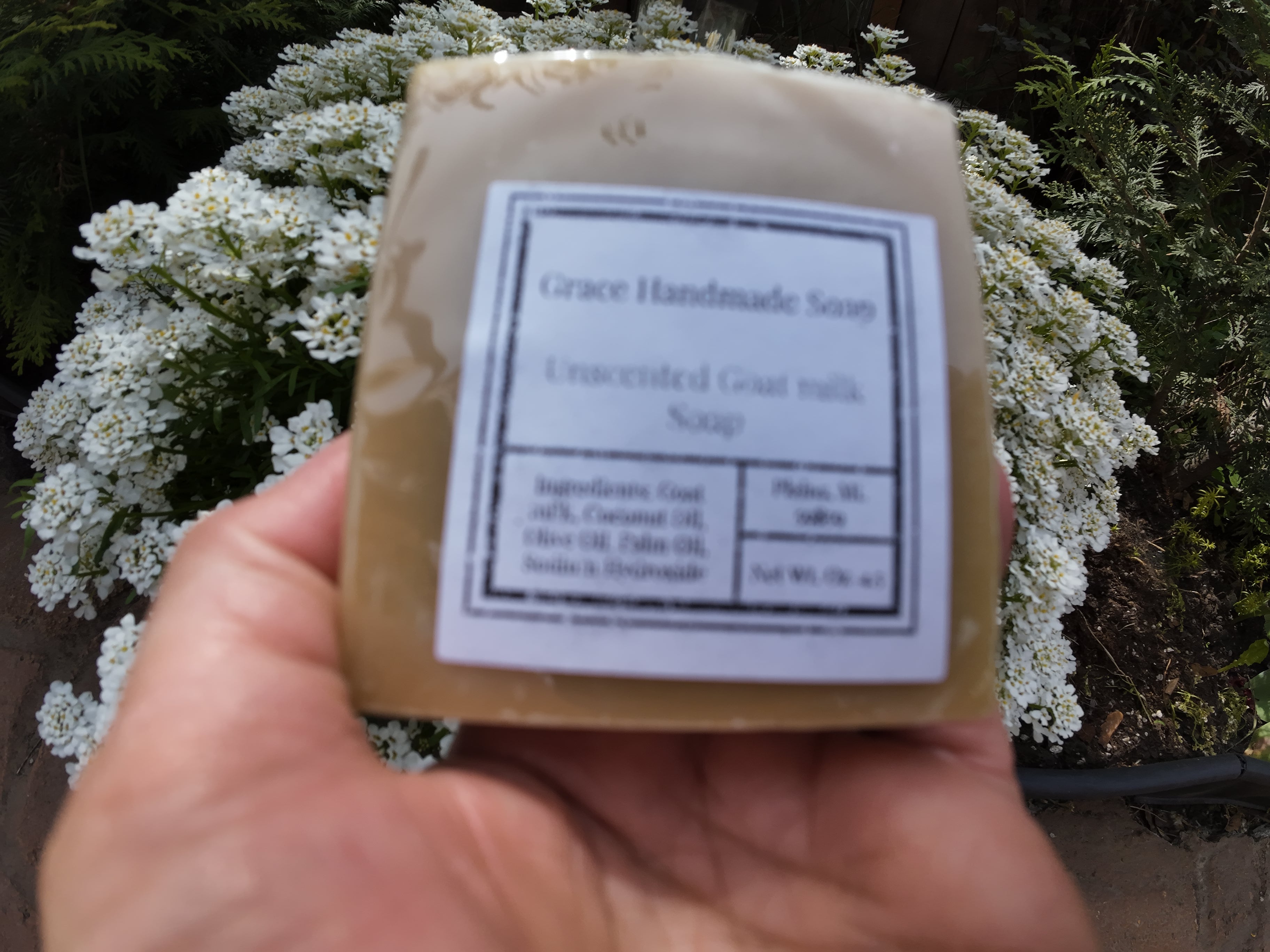 Unscented Goat Milk Soap