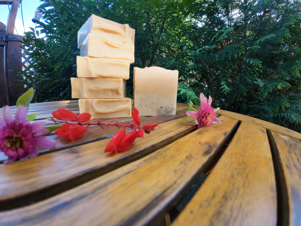 Nettle Turmeric Bath and Body Soap Natural/Unscented