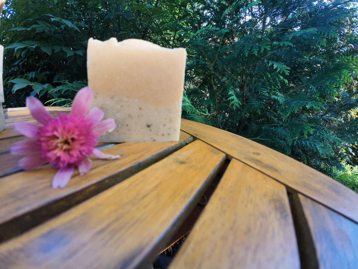 Nettle Turmeric Bath and Body Soap Natural/Unscented